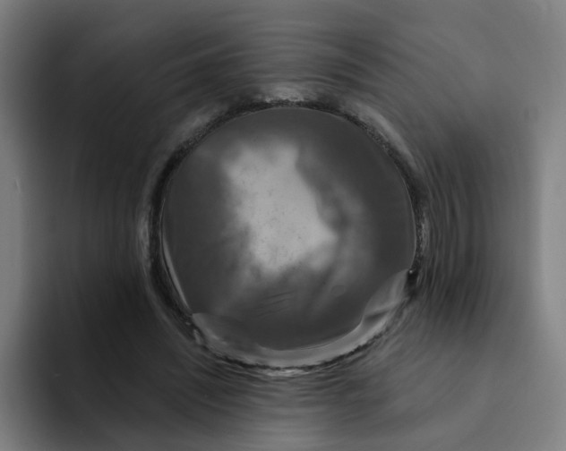 X0000094190444200711161751