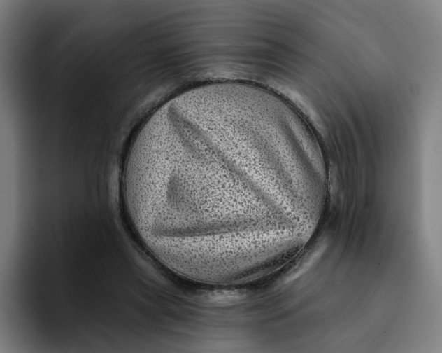 X0000094190445200711161751