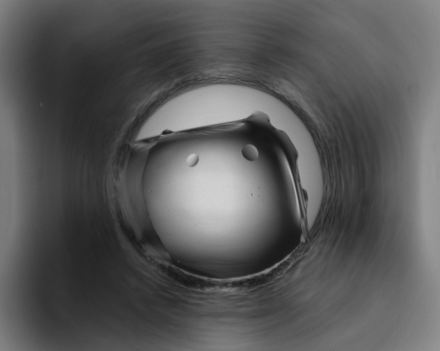 X0000094190448200711161751