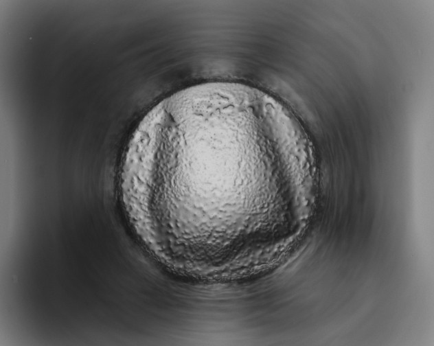 X0000094190449200711161751