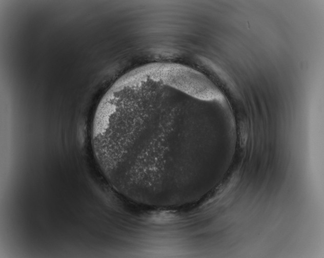 X0000094190451200711161751