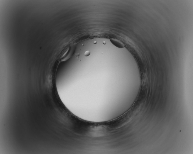 X0000094190452200711161751