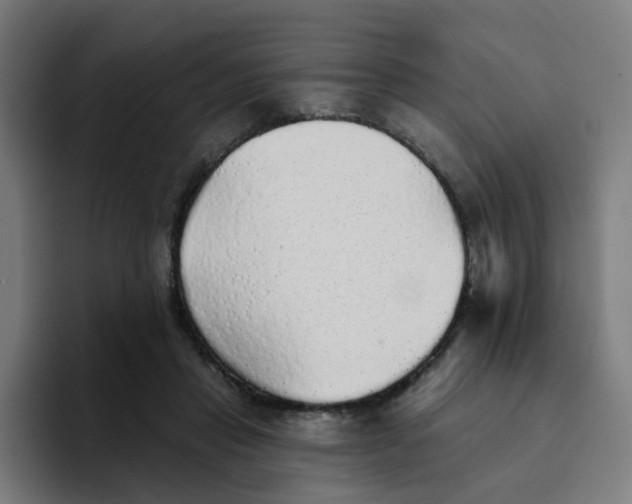 X0000094190453200711161751