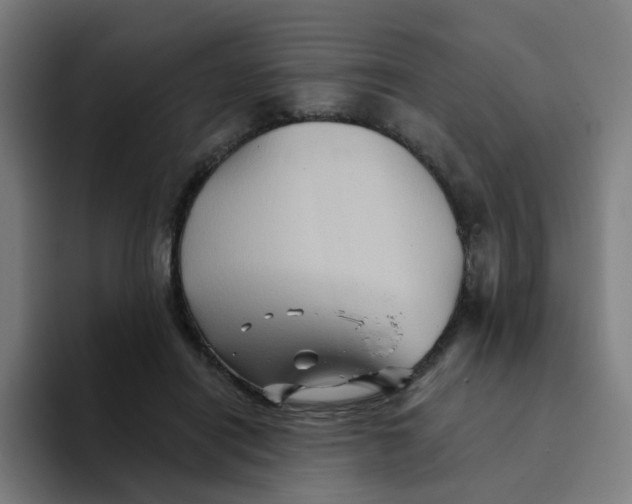 X0000094190454200711161751