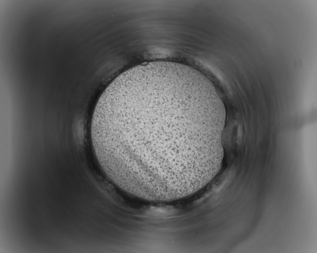 X0000094190455200711161751