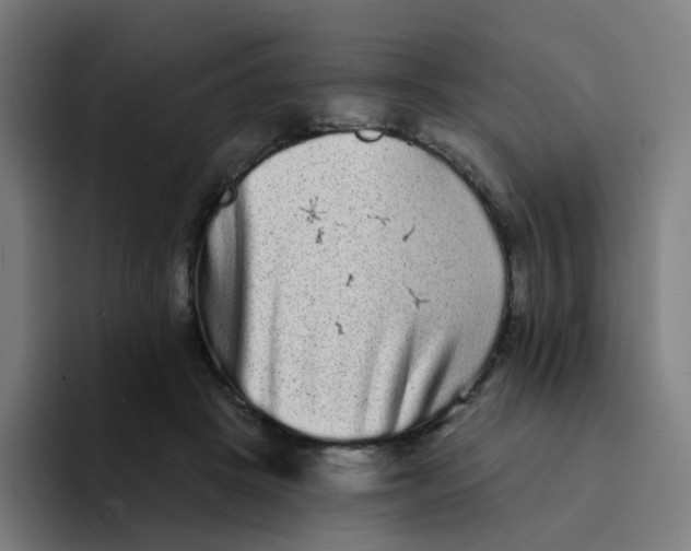 X0000094190457200711161751