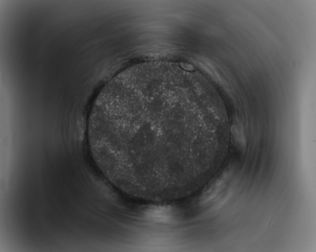 X0000094190458200711161751