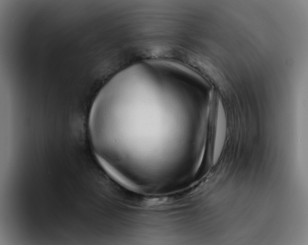 X0000094190461200711161751