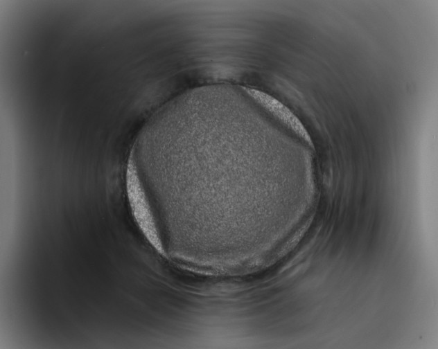 X0000094190462200711161751