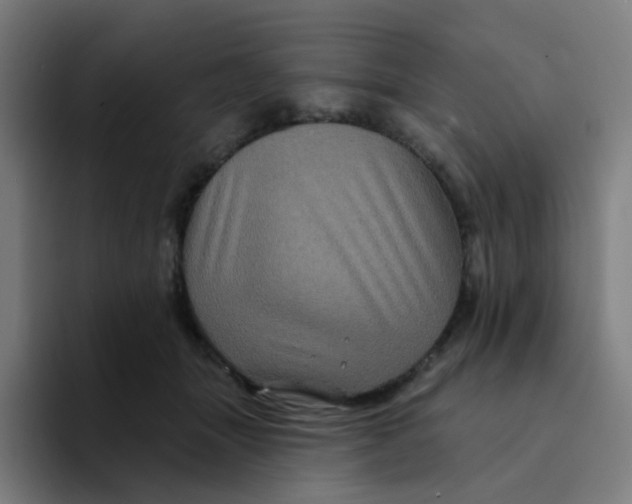 X0000094190463200711161751