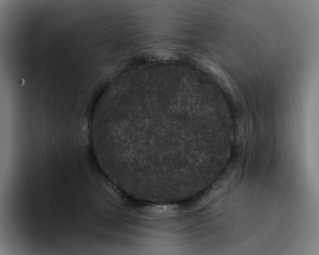 X0000094190465200711161752