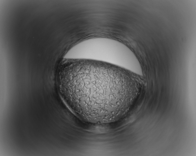 X0000094190466200711161752