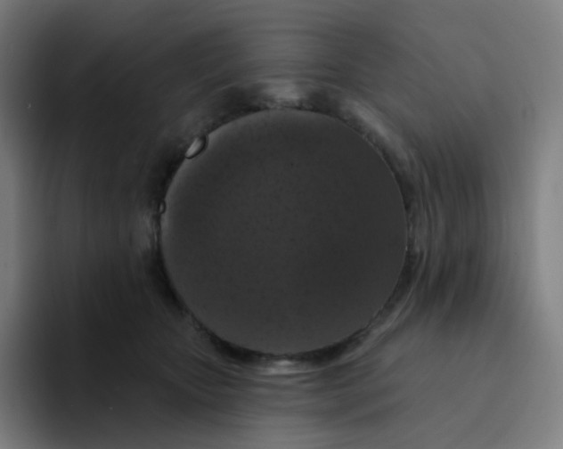 X0000094190467200711161752