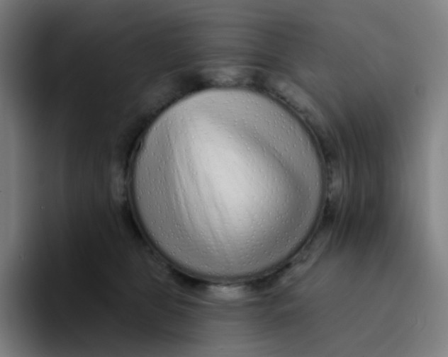 X0000094190469200711161752