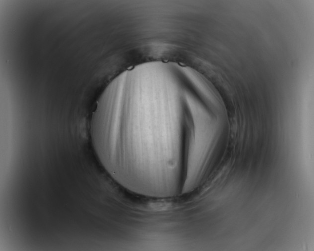 X0000094190470200711161752