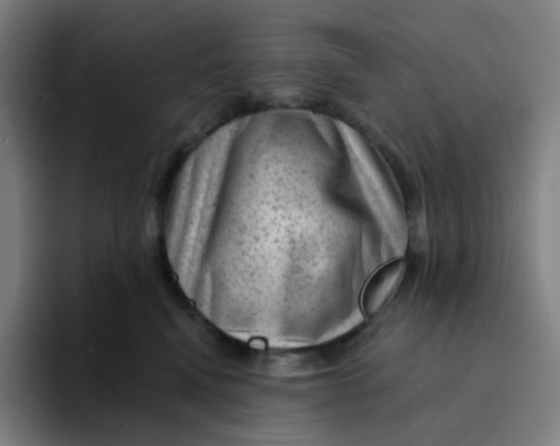 X0000094190472200711161752