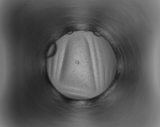 X0000094190473200711161752