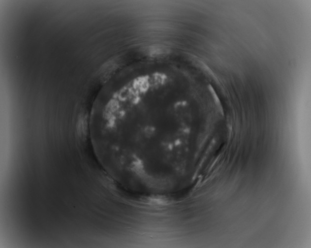 X0000094190475200711161752