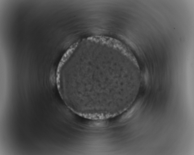 X0000094190479200711161752