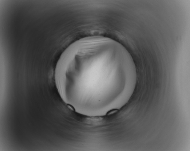 X0000094190480200711161752