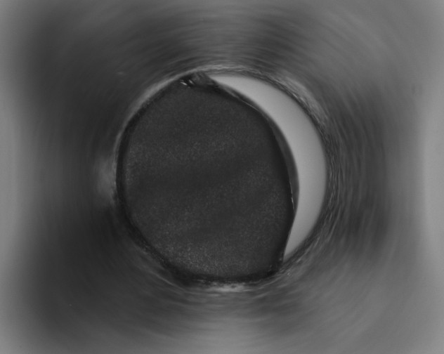 X0000094190484200711161751