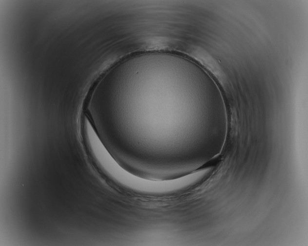 X0000094190485200711161751