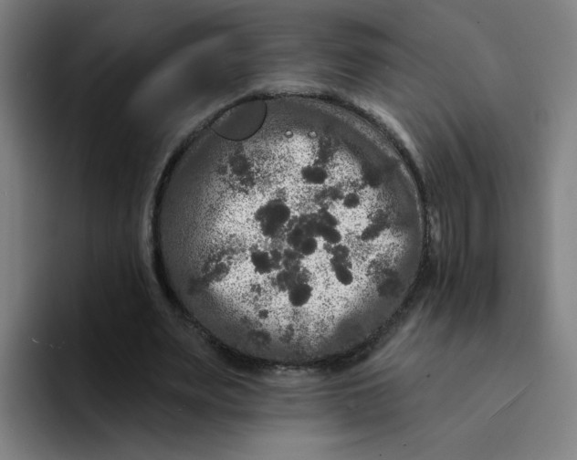 X0000094190487200711161751