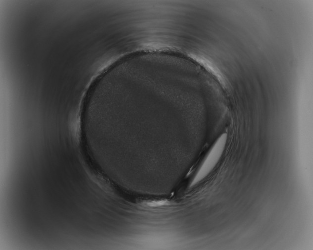 X0000094190488200711161751