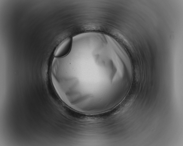 X0000094190490200711161751