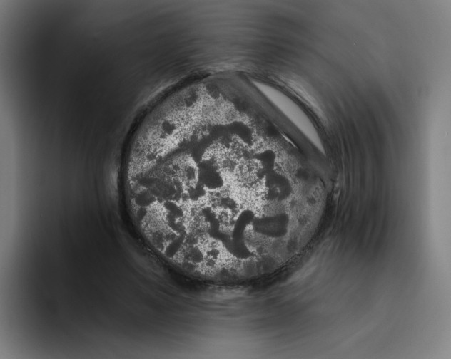 X0000094190491200711161751