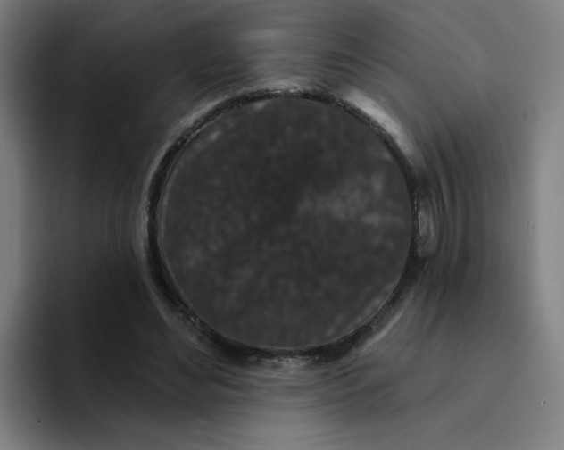 X0000094190492200711161751