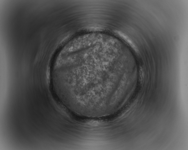 X0000094190494200711161751