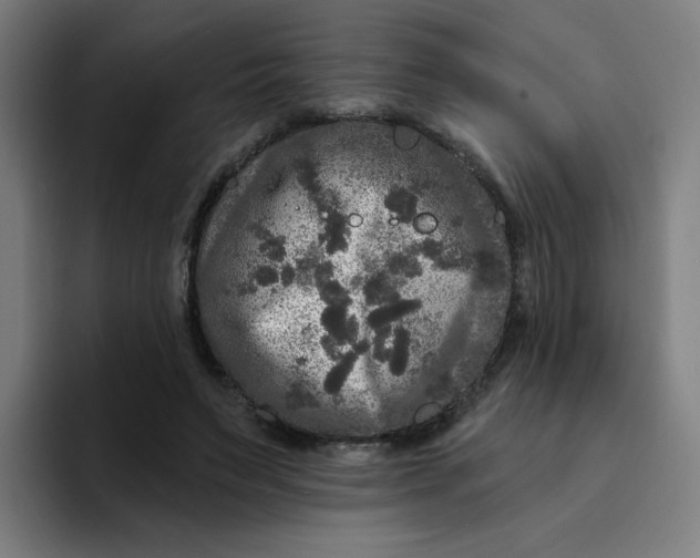 X0000094190495200711161751