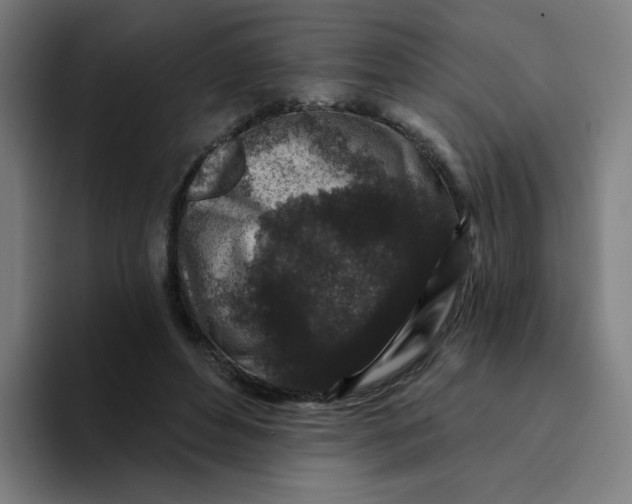 X0000094190496200711161751