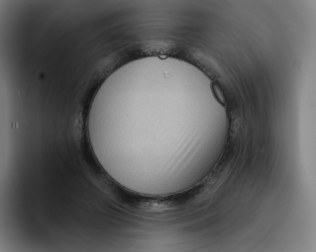 X0000094190498200711161751