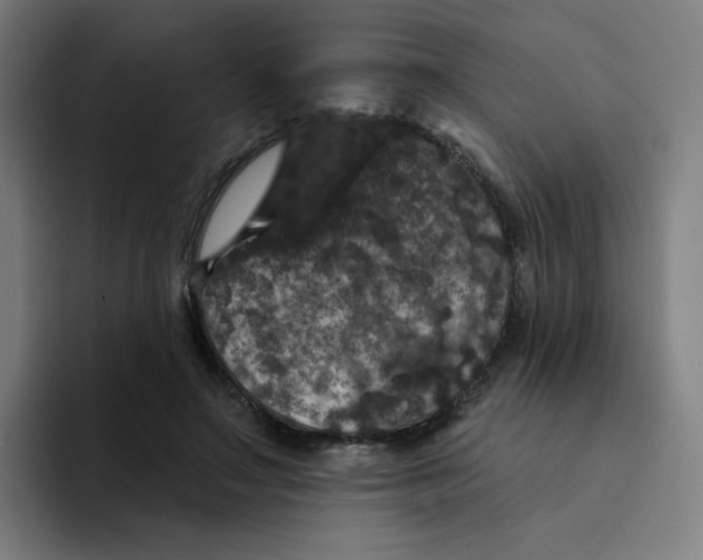 X0000094190499200711161751