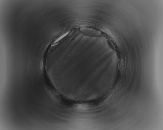 X0000094190500200711161751