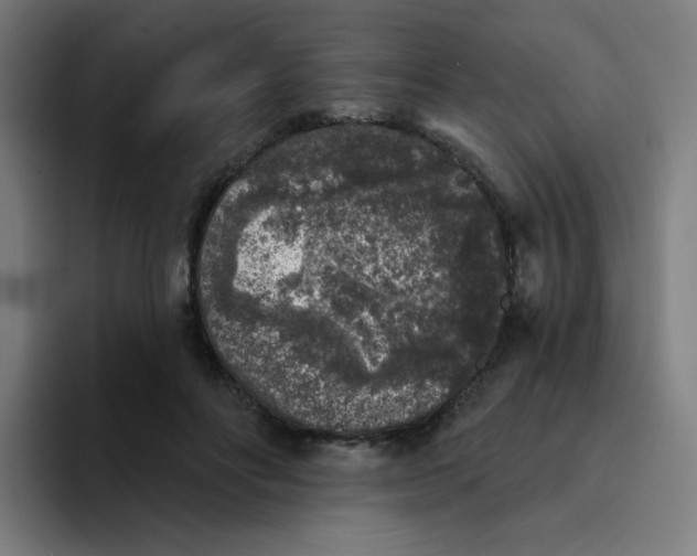 X0000094190502200711161751