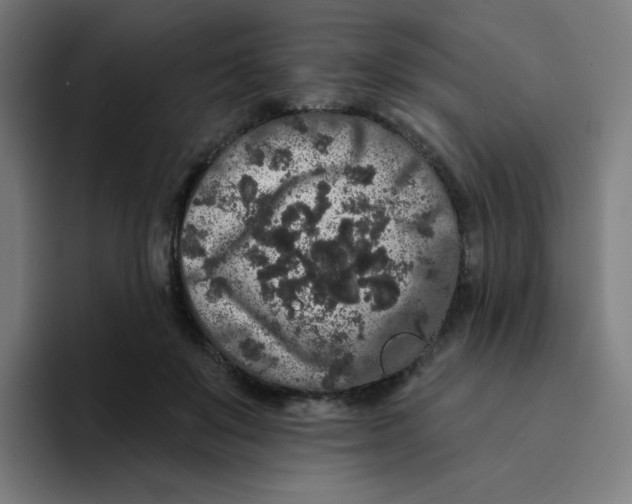 X0000094190503200711161751