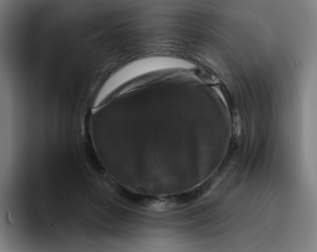 X0000094190504200711161751