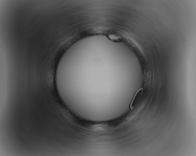 X0000094190505200711161751