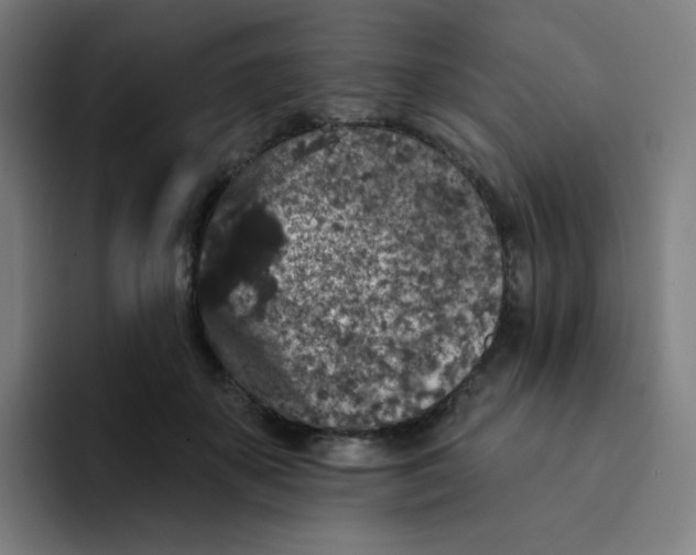 X0000094190507200711161751