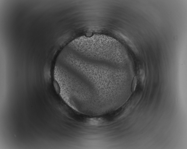 X0000094190508200711161751