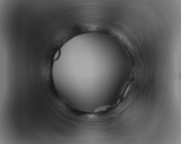 X0000094190509200711161751