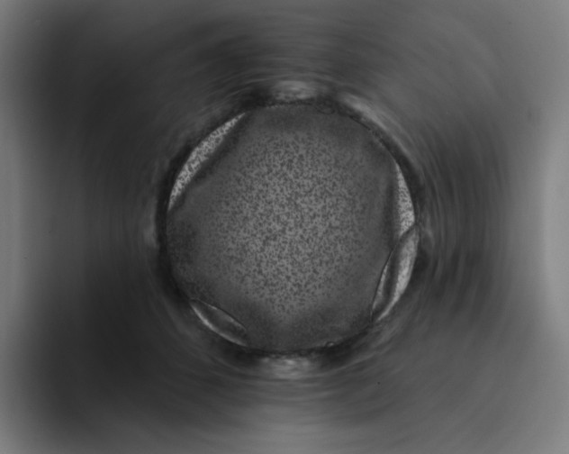 X0000094190512200711161751