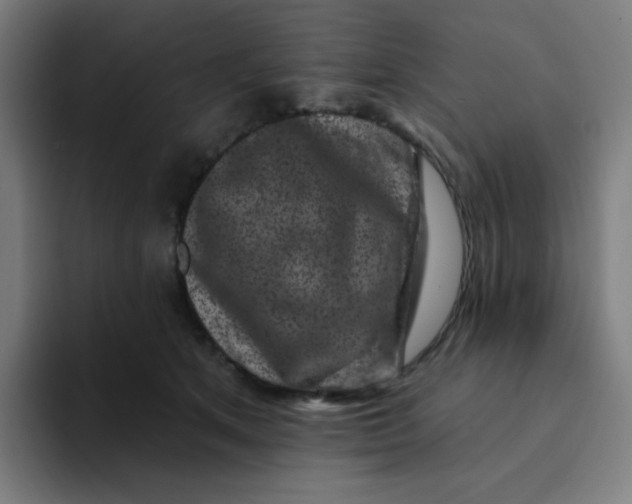 X0000094190513200711161751