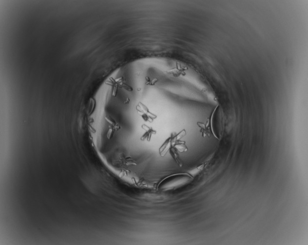 X0000094190515200711161751