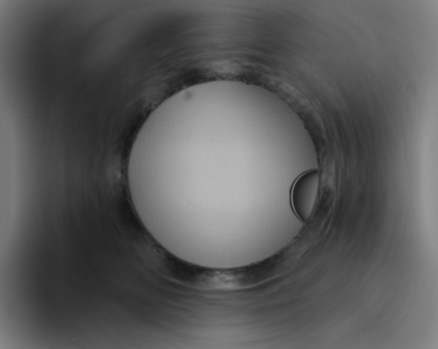 X0000094190518200711161751