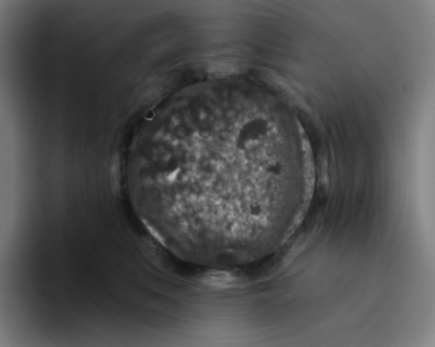 X0000094190519200711161751