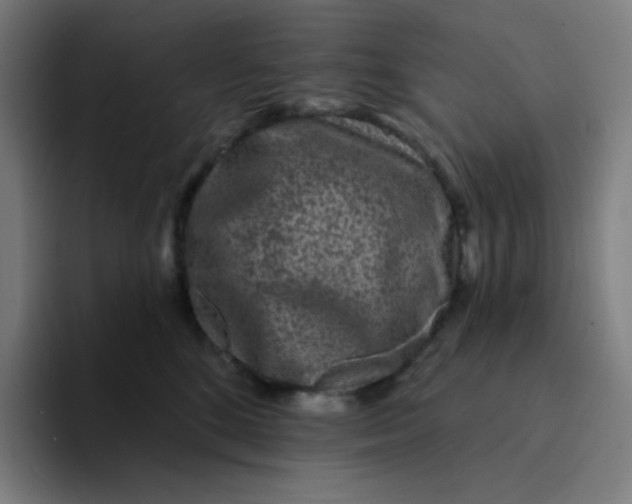 X0000094190520200711161751